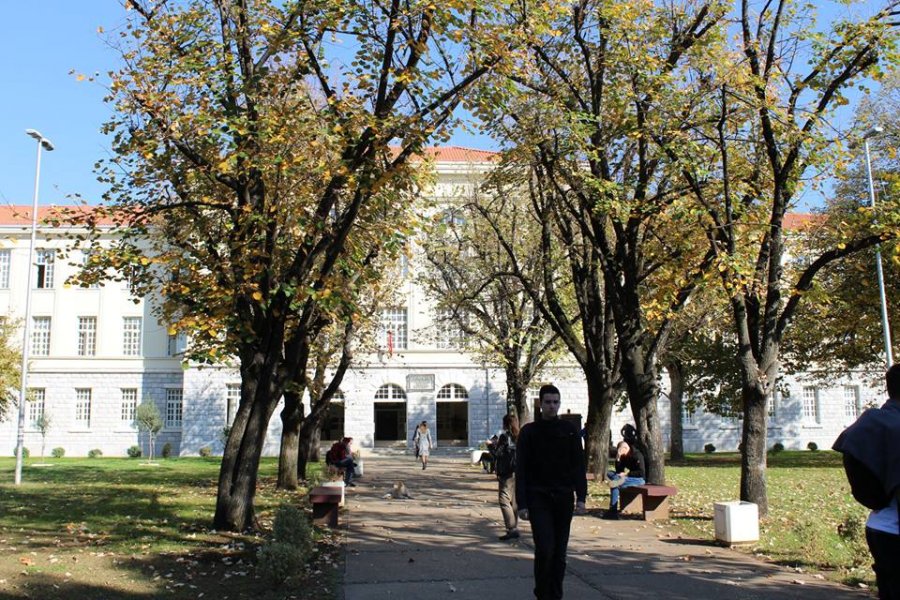 gimnazija