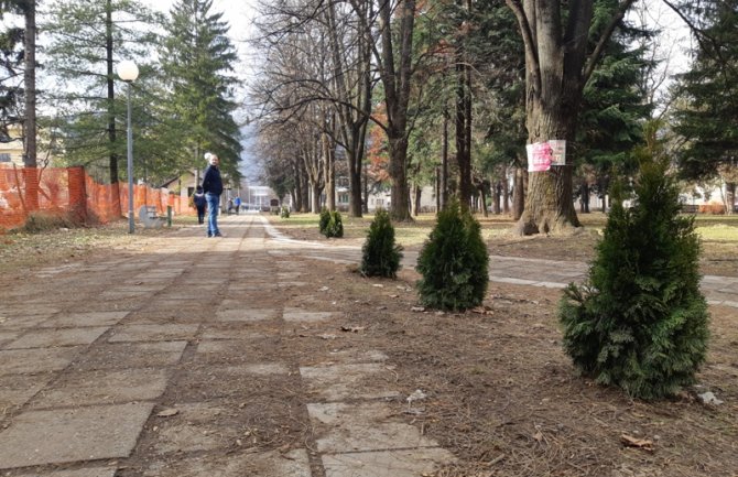 U Beranama vandalski uništeno zelenilo u parku
