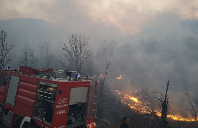 Nova intervencija vatrogasaca: Gori šuma na Obzovici