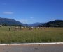 Mojkovac: Zorom počeo 