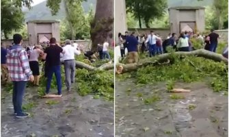 Grana platana starog 500 godina pala na turiste, 19 povrijeđenih