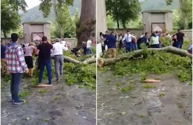 Grana platana starog 500 godina pala na turiste, 19 povrijeđenih