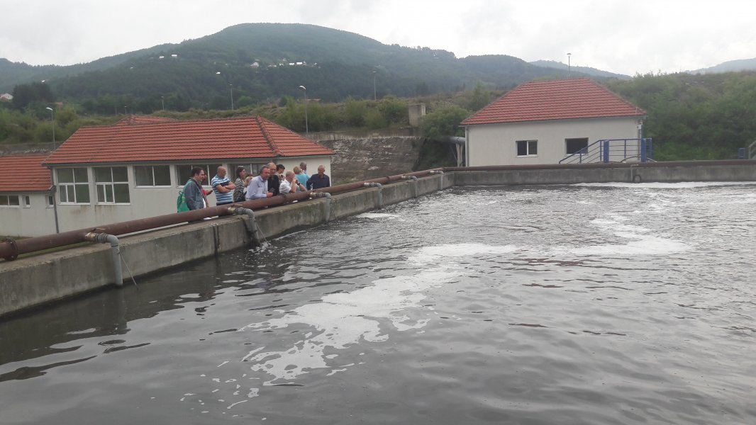 Mojkovac