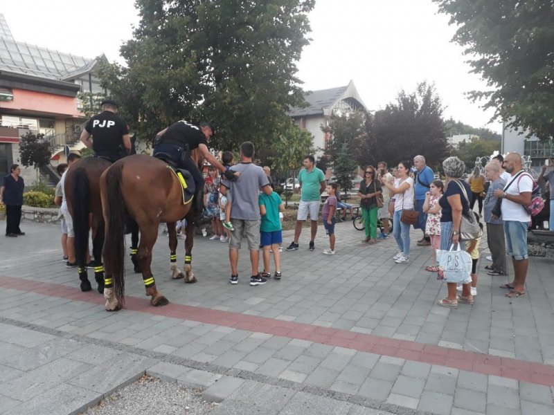 viberimage201908231825031024x768