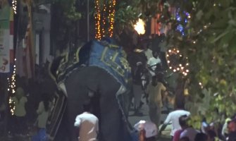 Razjareni slon „razbio“ vjersku povorku, najmanje 18 osoba povrijeđeno (VIDEO)