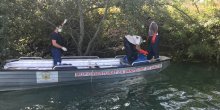 Danas izvađeno više od 100 kesa sa uginulom živinom(FOTO)