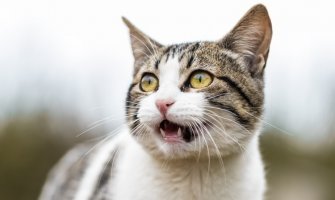 Za dane vikenda pretežno sunčano, do 27 stepeni 