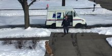 Pogledajte susret poštara i psa (VIDEO)