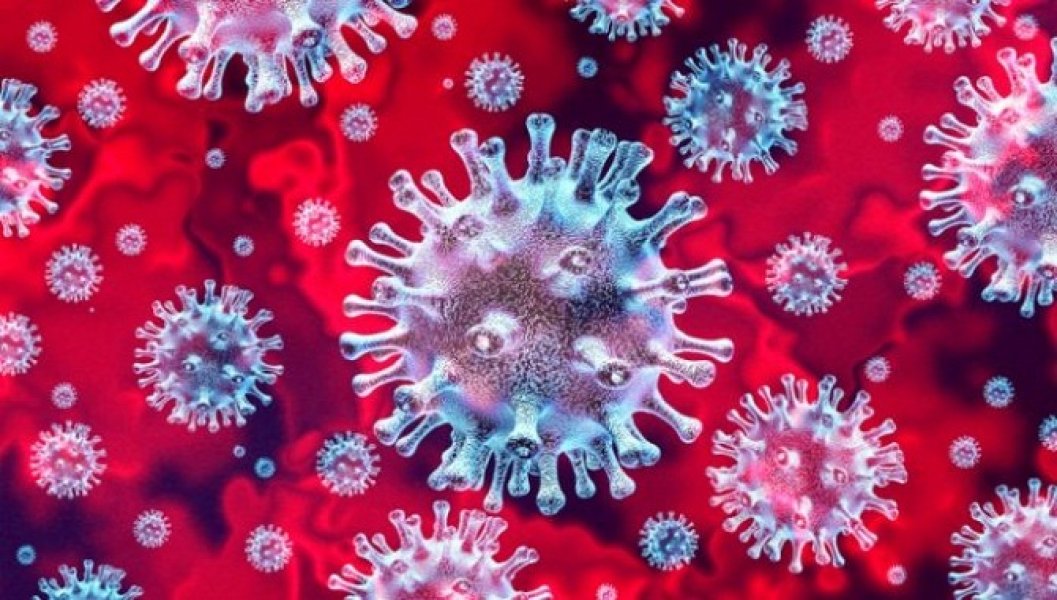 Koronavirus696x3951