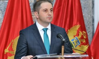 Šehović: Air Serbia preko noći preuzima najisplativije linije