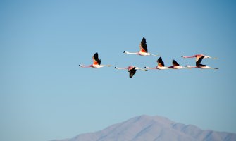 Pretežno sunčano, do 20 stepeni