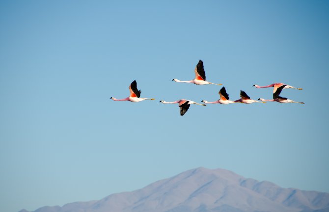 Pretežno sunčano, do 20 stepeni