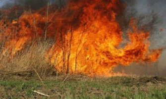 Desetine požara na području bjelopoljske opštine, ugrožene i kuće, ekipe i dalje na terenu