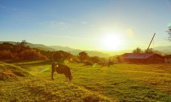 Pretežno sunčano, do 23 stepena