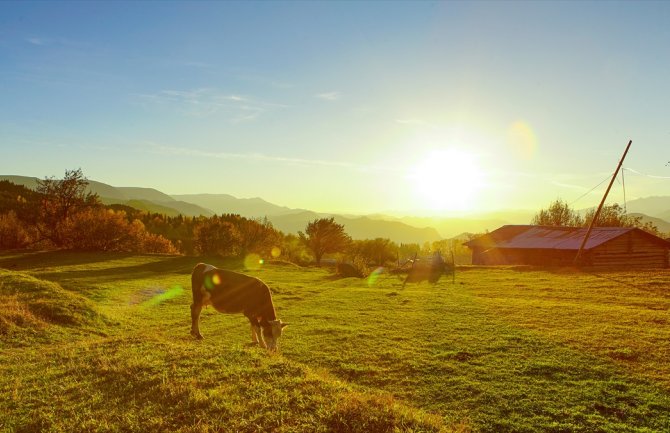 Pretežno sunčano, do 23 stepena