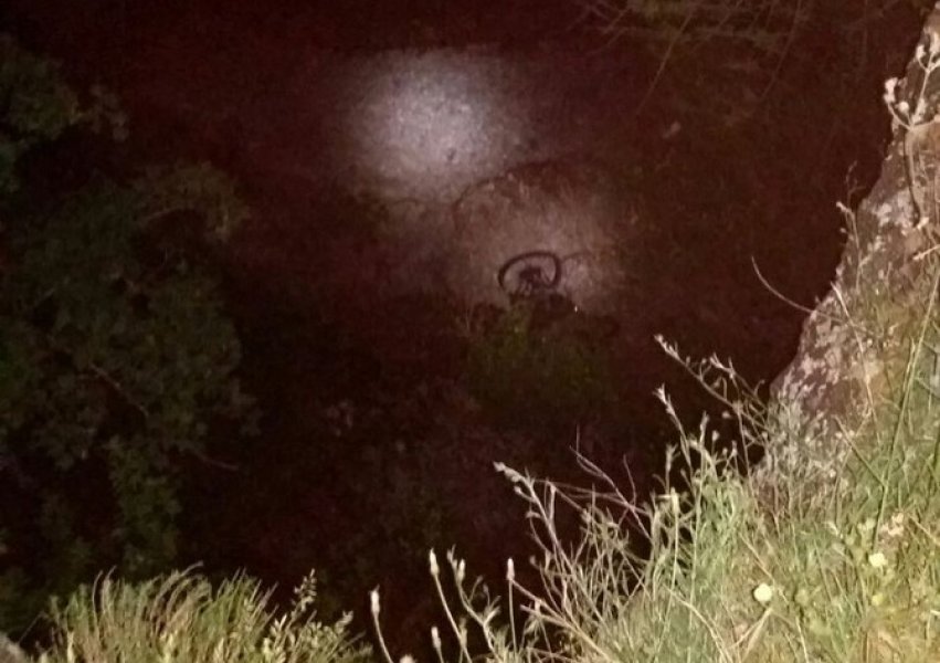 981842205741296735042936599290127309078528o