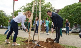 Podgorica dobila 19 stabala