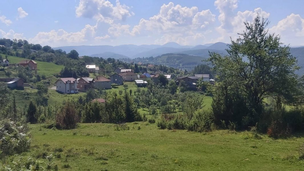 petnjica
