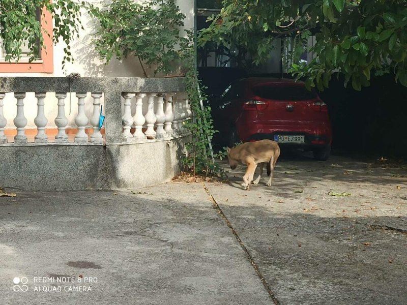 5251183viberimage20200919103005ff