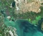Požari u NP Skadarsko jezero opomena koju trebamo ozbiljno shvatiti: Posljedice dalekosežne