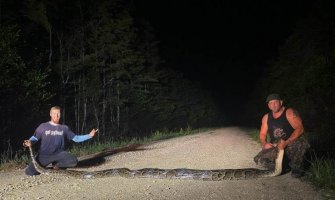 Florida: Uhvaćen burmanski piton dugačak skoro šest metara