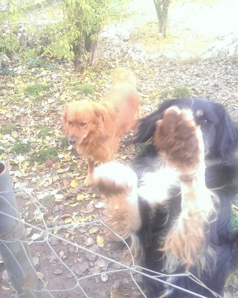 IMG20201207090426730