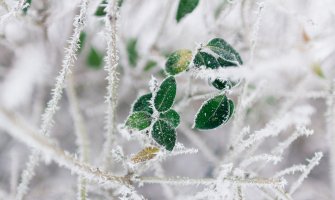 Pretežno oblačno i maglovito,  i do minus 6 stepeni jutarnja temperatura