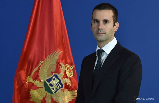 Ove nedelje tender za konsultanta nove nacionalne avio kompanije 
