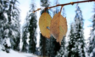 Sjutra umjereno oblačno sa sunčanim intervalima