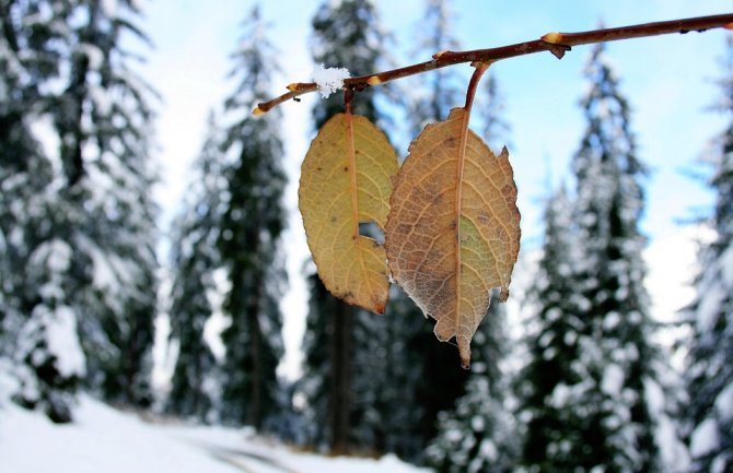 Sjutra umjereno oblačno sa sunčanim intervalima