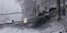 CEDIS: Dio sjevera bio bez struje, ekipe i dalje na terenu (FOTO)