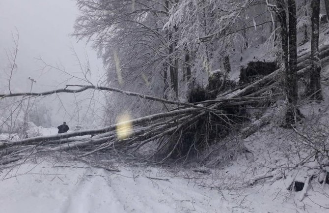 Građani Andrijevice, Gusinja i Plava bez struje