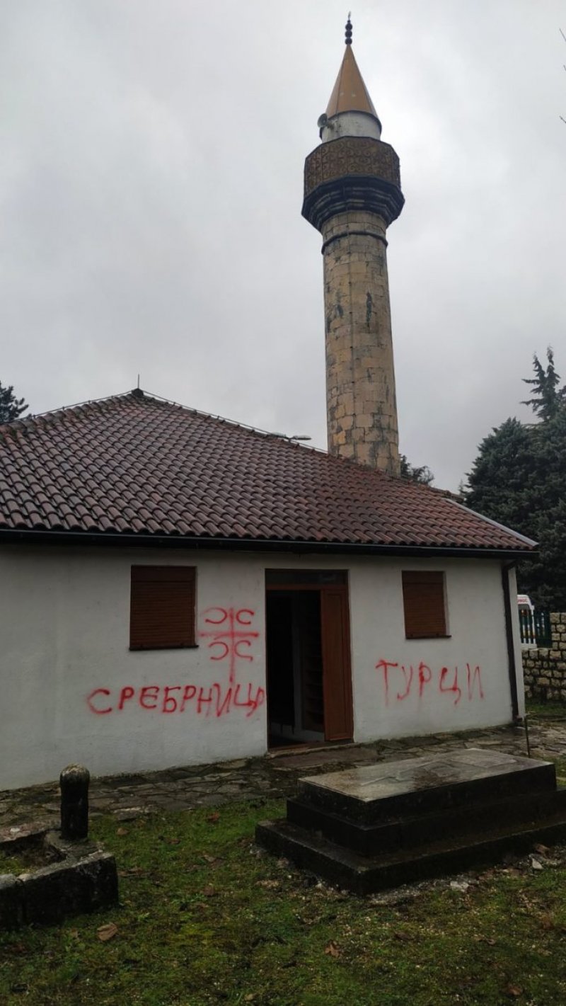 dzamijaNK696x1237