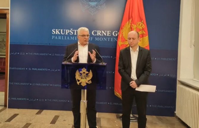 Mandić: Želimo da Knežević bude nosilac liste DF-a za izbore u Podgorici