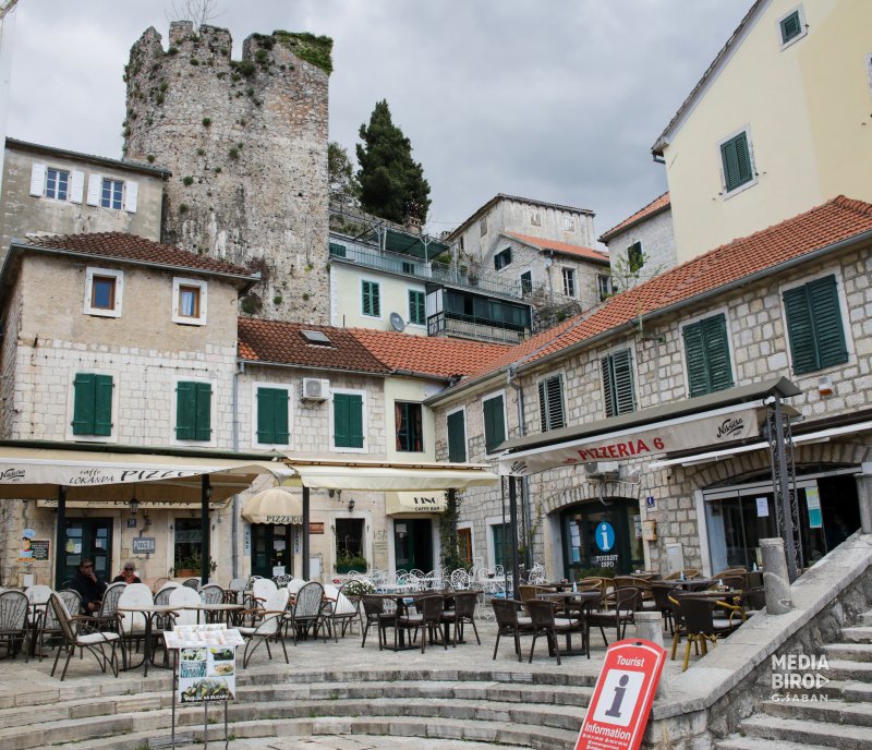 HecegNovi4