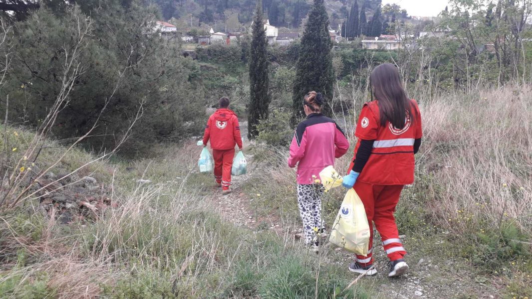 distribucija1