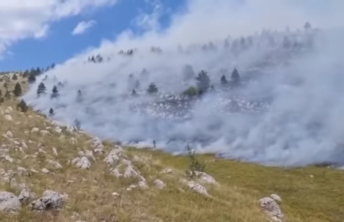 Lokalizovan požar na Bunetini