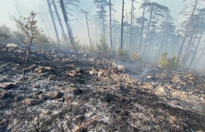 Požar u kanjonu Tare prerasta u dva odvojena, teren nepristupačan