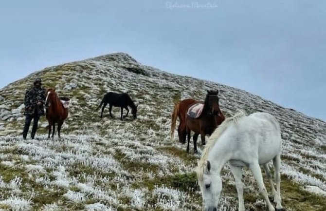Zabijeljela Bjelasica, pao prvi snijeg (Video)