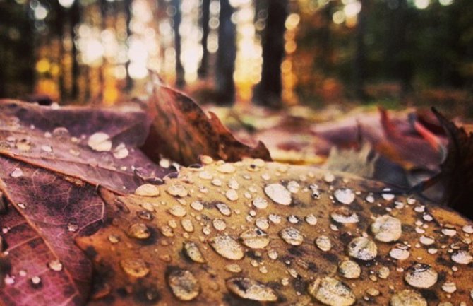 Narednih dana kiša, na planinama moguć snijeg