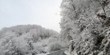 Sjever Crne Gore decembar dočekuje u bijelom (FOTO)(VIDEO)