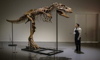 Skelet dinosaurusa prodat na aukciji u Njujorku za šest miliona dolara