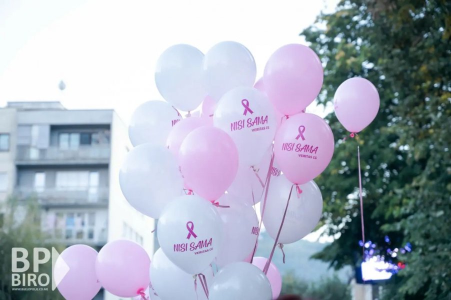 3102629004262679429497273903517522073397983n