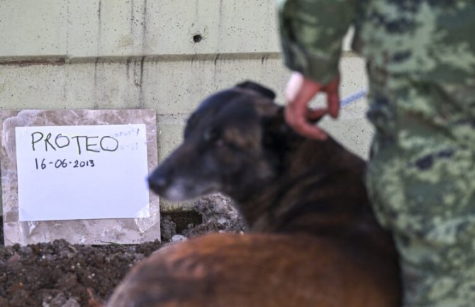 Meksički spasilački tim u Turskoj se oprostio od psa heroja