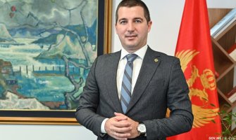 Bečić: Ulazak Švedske u NATO dokaz da nikad nije kasno za prave stvari