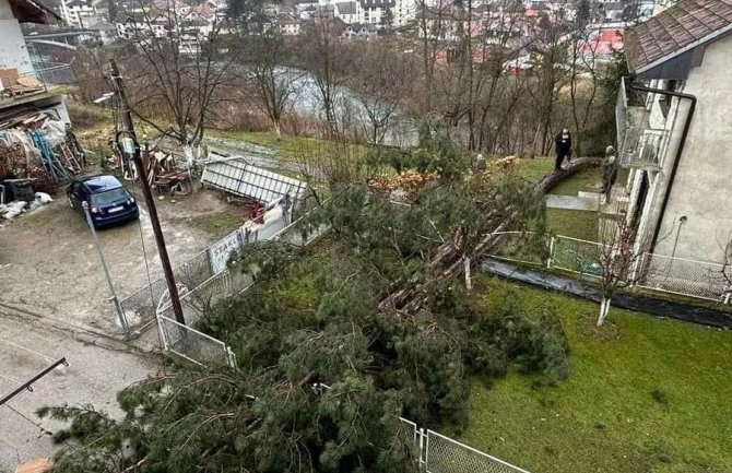 BIJELO POLJE :NEVRIJEME OBORILO STABLO