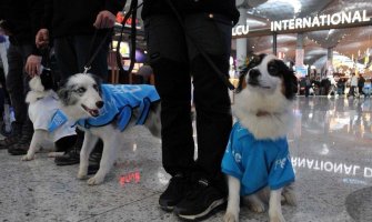 Psi umjesto bensedina na aerodromu u Istanbulu 