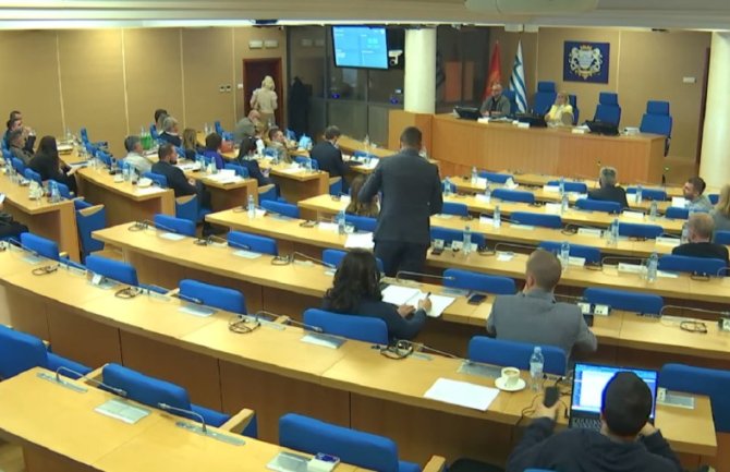 Opozicija protiv imenovanja Ilinčić za direktoricu Biblioteke
