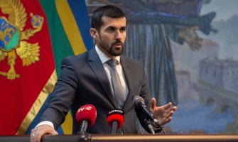 Nenezić Milatoviću i Spajiću: Reagujte na Vučićeve uvrede, makar službeno ako karaktera nemate