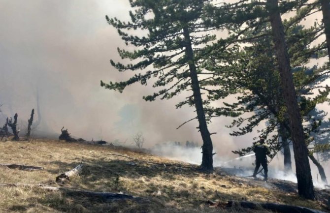 Vatra zahvatila NP Durmitor: Vatrogasci i mještani se treći dan bore protiv požara u Stupskom polju